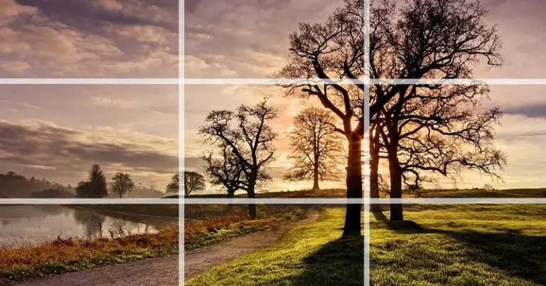 Read more about the article Prinsip Dasar Komposisi dalam Fotografi Produk
